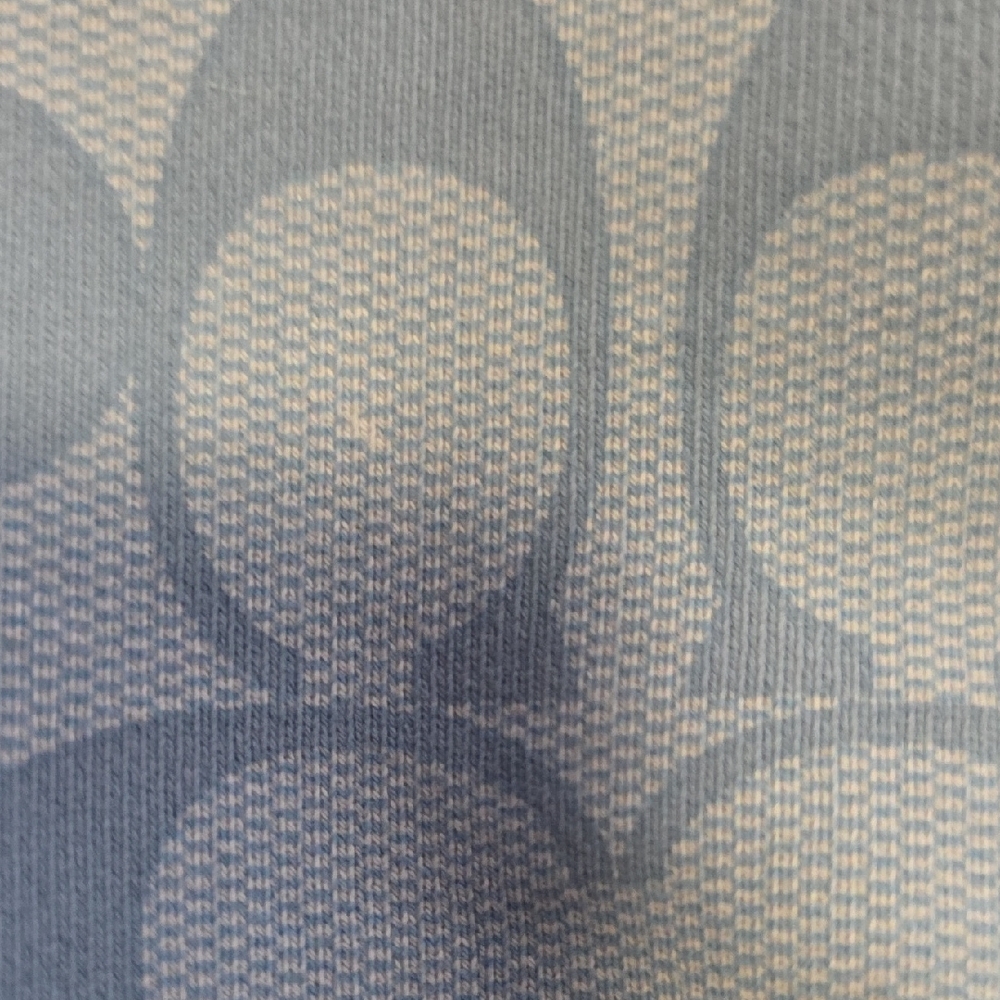 Coach Sweatshirt in Soft Blue - Picture 8 of 14